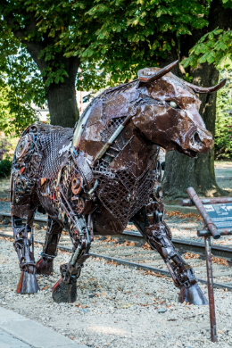 Kovozoo